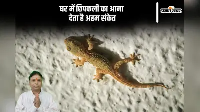 घर में छिपकली का नजर आना शुभ होता है या अशुभ, जानें क्या होते हैं संकेत