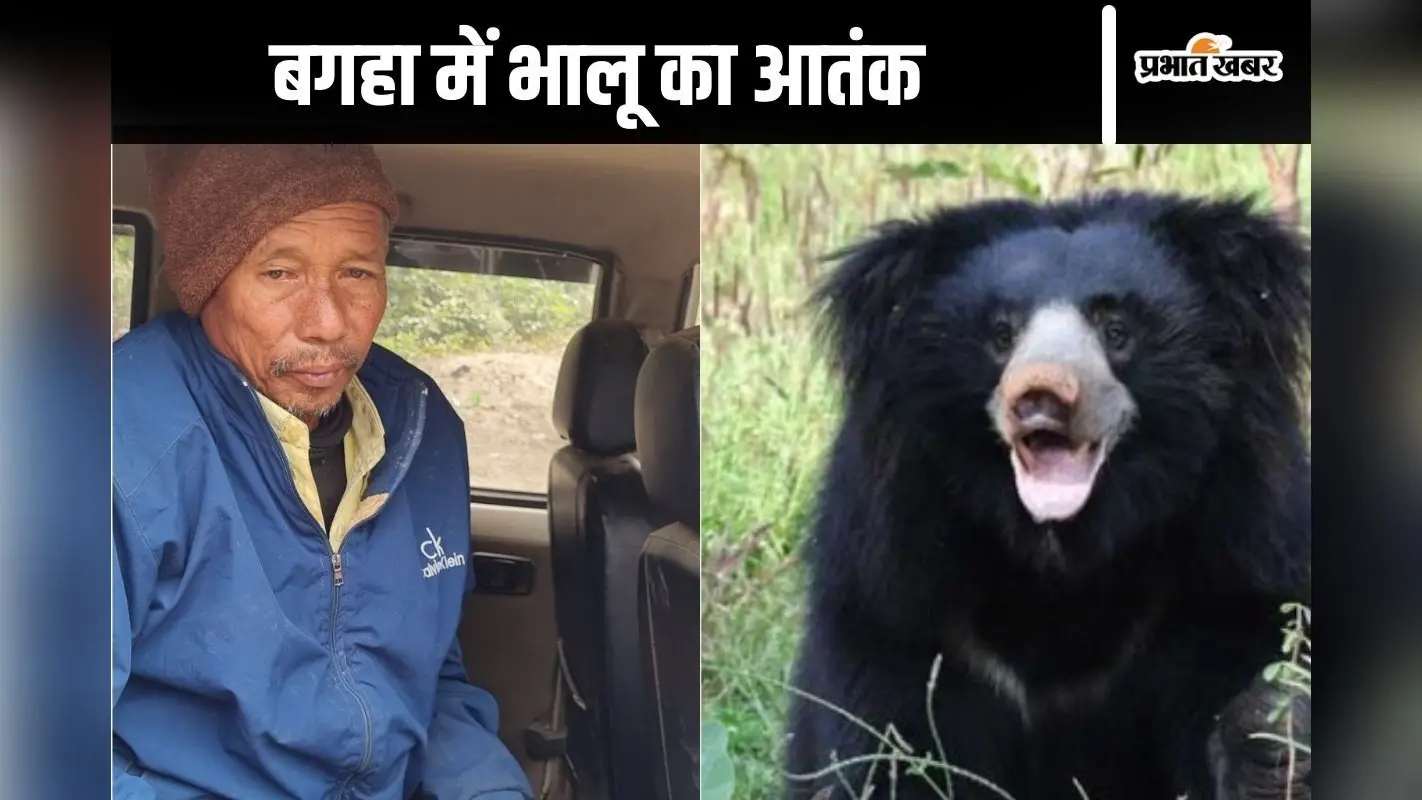 Bear Attack: शावक के साथ बैठी मादा भालू ने किसान पर किया हमला, इलाके में मचा हड़कंप