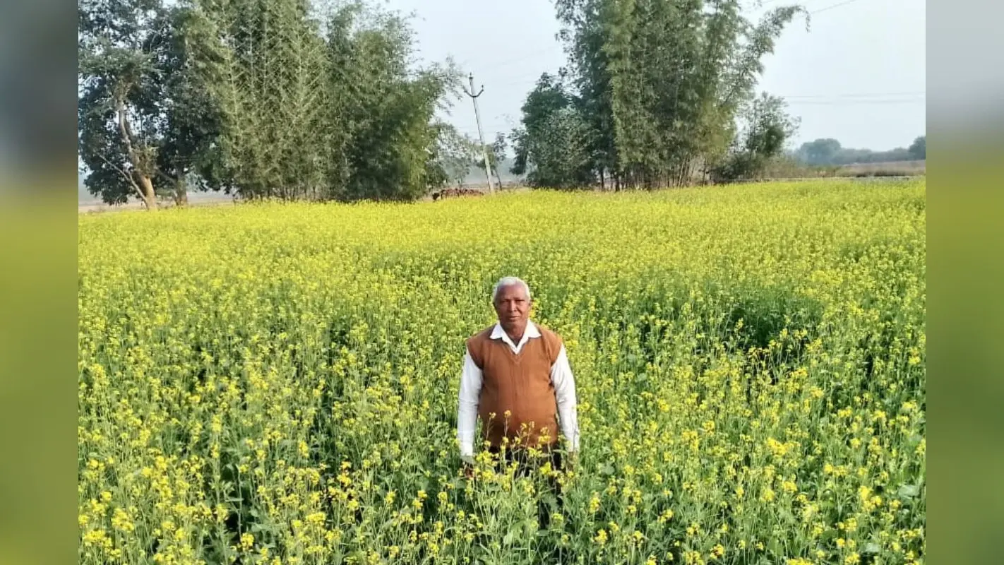 Lakhpati Kisan: टीचर से हुए रिटायर तो खेतीबाड़ी को बनाया मिशन, भूपेंद्रनाथ महतो ऐसे बन गए झारखंड के लखपति किसान