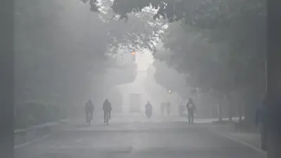 Bihar Weather: बिहार में पछुआ हवा ने बढ़ाई ठंड, IMD ने बताया अगले 72 घंटों तक कैसा रहेगा मौसम का हाल