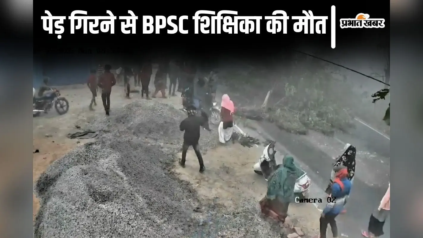 स्कूल जा रही BPSC शिक्षिका की पेड़ गिरने से मौत, हादसे का लाइव वीडियो देखिए