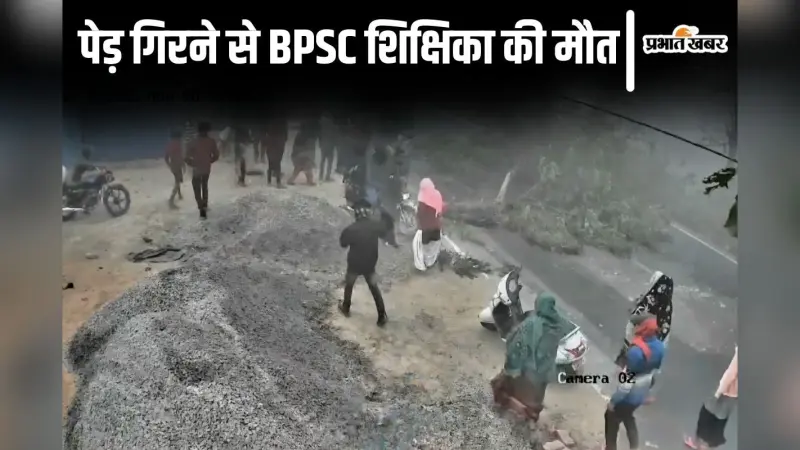 स्कूल जा रही BPSC शिक्षिका की पेड़ गिरने से मौत, हादसे का लाइव वीडियो देखिए