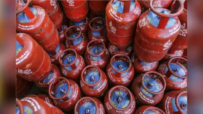 Budget 2025 LPG subsidy: तेल कंपनियों को 35,000 करोड़ रुपये की एलपीजी सब्सिडी दे सकती है सरकार