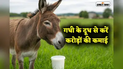 Business Idea: गधी के दूध से करें करोड़ों की कमाई, जानें कैसे 5,000 रुपये लीटर बिकता है यह दूध