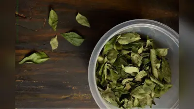 7 Tips to Store Curry Leaves: करी पत्तों को लंबे समय तक ताजा रखने के 7 आसान तरीका