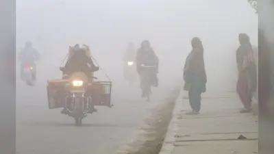 Rajasthan Weather: 22 जनवरी से फिर बारिश का दौर, पश्चिमी विक्षोभ का इन जिलों में दिखेगा असर