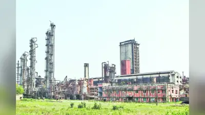 झारखंड के सिंदरी में बीआईटी के बाद अब आईआईटी-आईएसएम, शुरू हुआ सर्वेक्षण