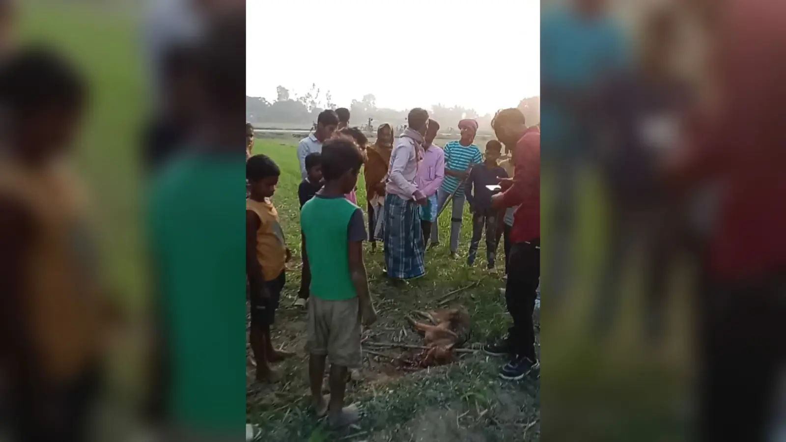 कन्हरिया दियारा में भेड़िया ने किया हमला, कई लोग हुए जख्मी
