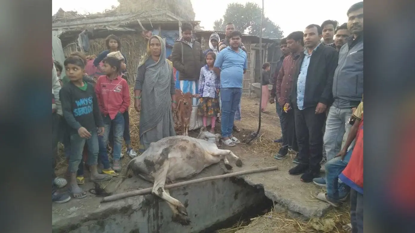 Katihar news : बारसोई में हाई वोल्टेज तार टूटने से छात्रा झुलसी