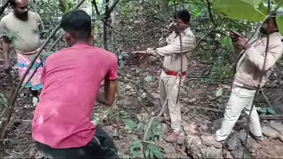 Seraikela News : चौका के तुलग्राम जंगल में बाघ के पंजे के निशान मिले, दहशत