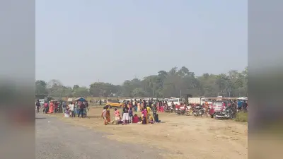 लोगों ने फरक्का के गांधी घाट पर उठाया पिकनिक का लुत्फ