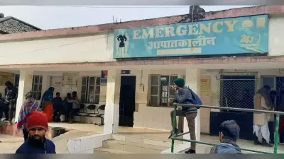 कोविड का ही एक तरह से बदला हुआ स्वरूप है वायरल डिजीज