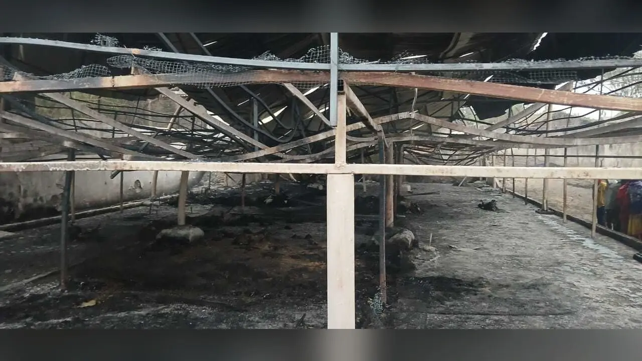 अज्ञात कारणों से लगी आग में लाखों की बकरी व मुर्गा सहित फॉर्म जलकर राख