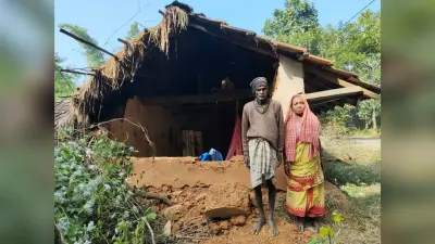 East Singhbhum : गुड़ाबांदा में हाथियों ने घर तोड़ा, दंपती ने भागकर बचायी जान