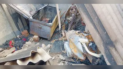 Bokaro News : पेट्रोल छिड़क महिला के घर में लगायी आग, 1.25 लाख रुपये की संपत्ति जली