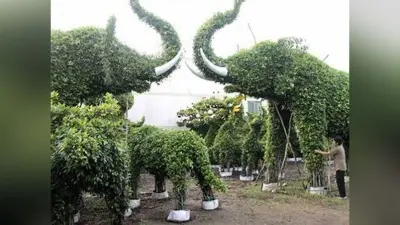 Patna News : हार्डिंग पार्क में पौधों से बनेंगी जानवरों की आकृतियां