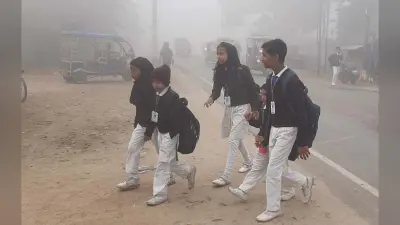 सर्दी में ठिठुर रही जिंदगी, सार्वजनिक स्थलों पर महसूस की जा रही अलाव की जरूरत