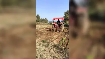 34.5 एकड़ में लगी अफीम की फसल की नष्ट