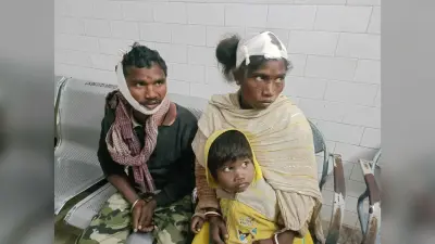 सिंगाडी गांव में जमीन विवाद में मारपीट, महिला समेत तीन लोग घायल