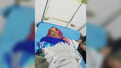 साड़ का आतंक, शिक्षक को किया जख्मी