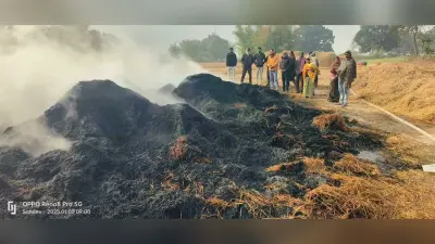 Giridih News: खलिहान में लगी आग, धान व पुआल जलकर राख