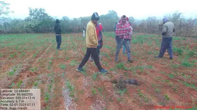 Bokaro News : महुआटांड़ क्षेत्र में एक सप्ताह से उत्पात मचा रहे हाथी