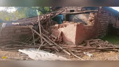 Chaibasa News : दो हाथियों ने पांच गांव में आठ घर तोड़े, ग्रामीण कर रहे रतजगा