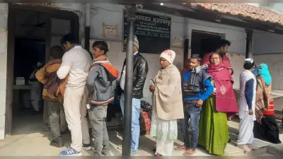 नये साल के पहले दिन 124 लोगों को कुत्ते ने काटा