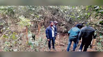 Jamshedpur news.बालीडीह के आसपास पाये गये पंजों के निशान, कैमरे में कैद नहीं हुआ बाघ