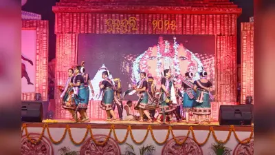 Jharsuguda News: अपनी कला, संस्कृति व परंपरा को जानने का पर्व है दुलदुली महोत्सव : मुख्यमंत्री