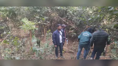Saraikela News : बालीडीह में मिले बाघ के पंजों के निशान, दूसरी जगह लगेंगे कैमरे