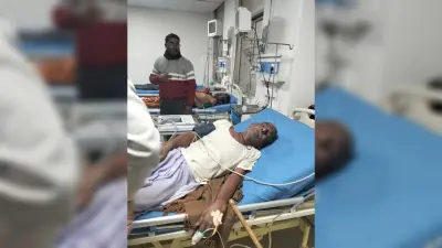 मधुमक्खी काटने से एक दर्जन से अधिक लोग घायल