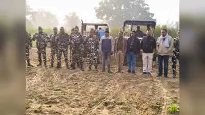 Gaya News : कुंदरी जंगल में 1.41 एकड़ में लगी अफीम की फसल की गयी नष्ट