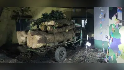 वन विभाग की टीम ने जब्त की लकड़ी लदी दो जुगाड़ गाड़ी