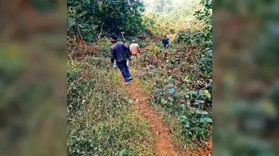 Jamshedpur news. सावधान! बालीडीह और आसपास के एरिया में ही घूम रहा है बाघ