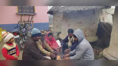 इंसान हो या बेजुबान, सबको सता रहा सर्दी का सितम