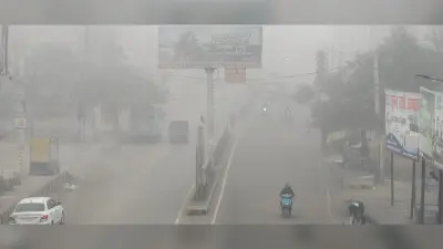 Aurangabad News: घने कोहरे में थमी वाहनों की रफ्तार