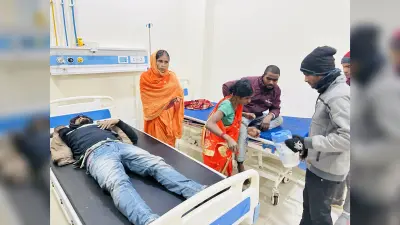 Giridih News: आठ मवेशी लदा पिकअप दुर्घटनाग्रस्त, सात घायल