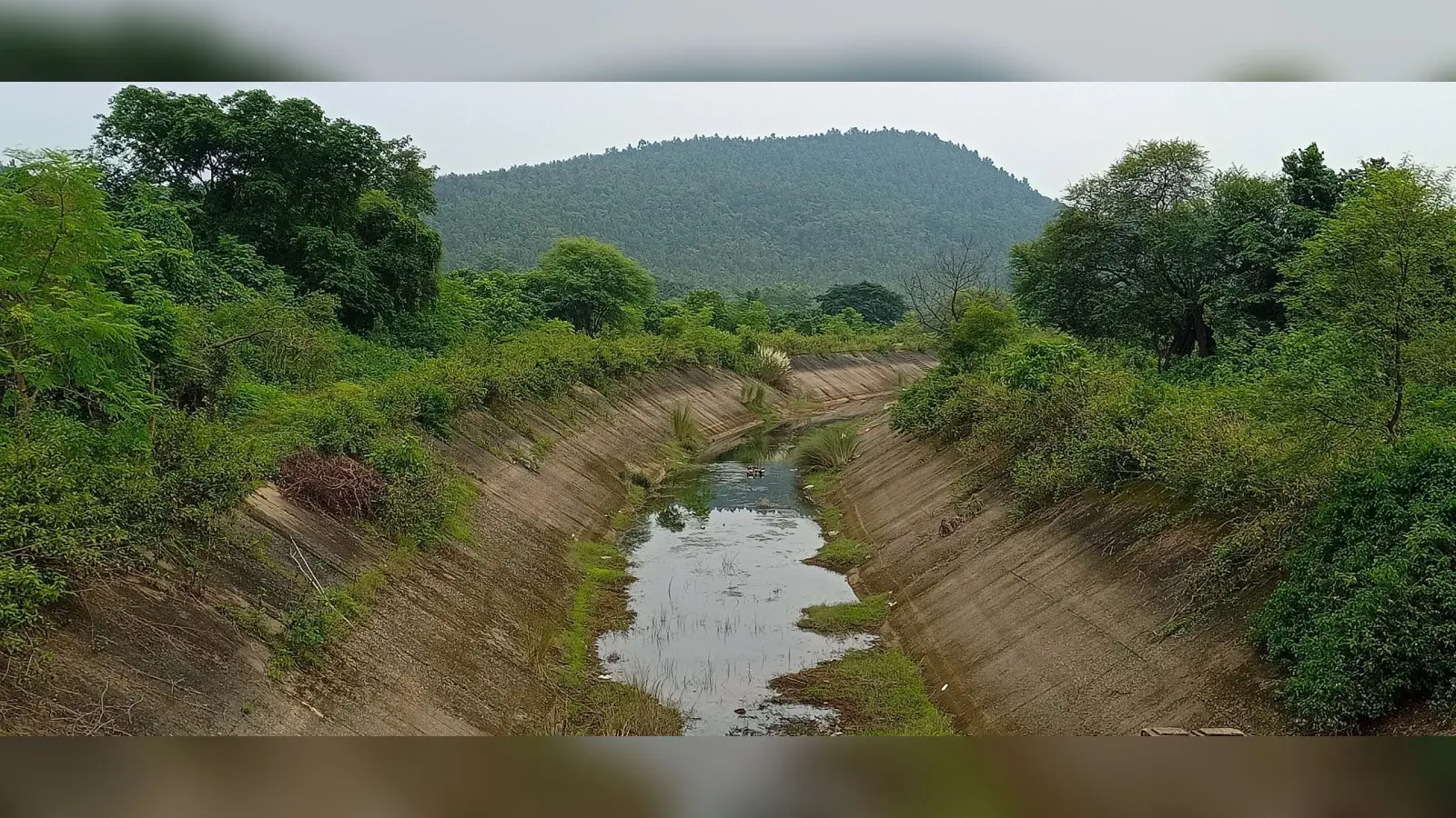 East Singhbhum : घाटशिला की बायीं नहर में पानी नहीं, रबी की खेती प्रभावित, परती पड़े हैं खेत