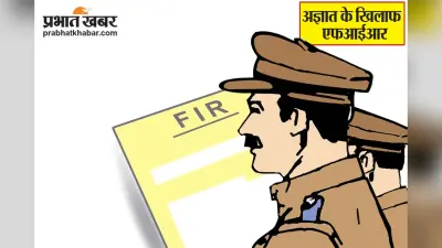 पुनपुन में हथियार के बल पर पिकअप की लूटा