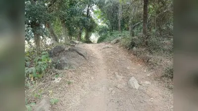 मसानपाड़ा तक पक्की सड़क के निर्माण की पहल तेज