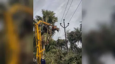 मेंटनेंस को लेकर दोपहर में तीन घंटे ठप रही विद्युत आपूर्ति, शाम में भी गुल हुई बिजली