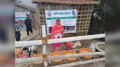 मुशहरी की चार हजार दीदियां कर रही बकरी पालन, हर महीने 1.20 करोड़ की आमदनी