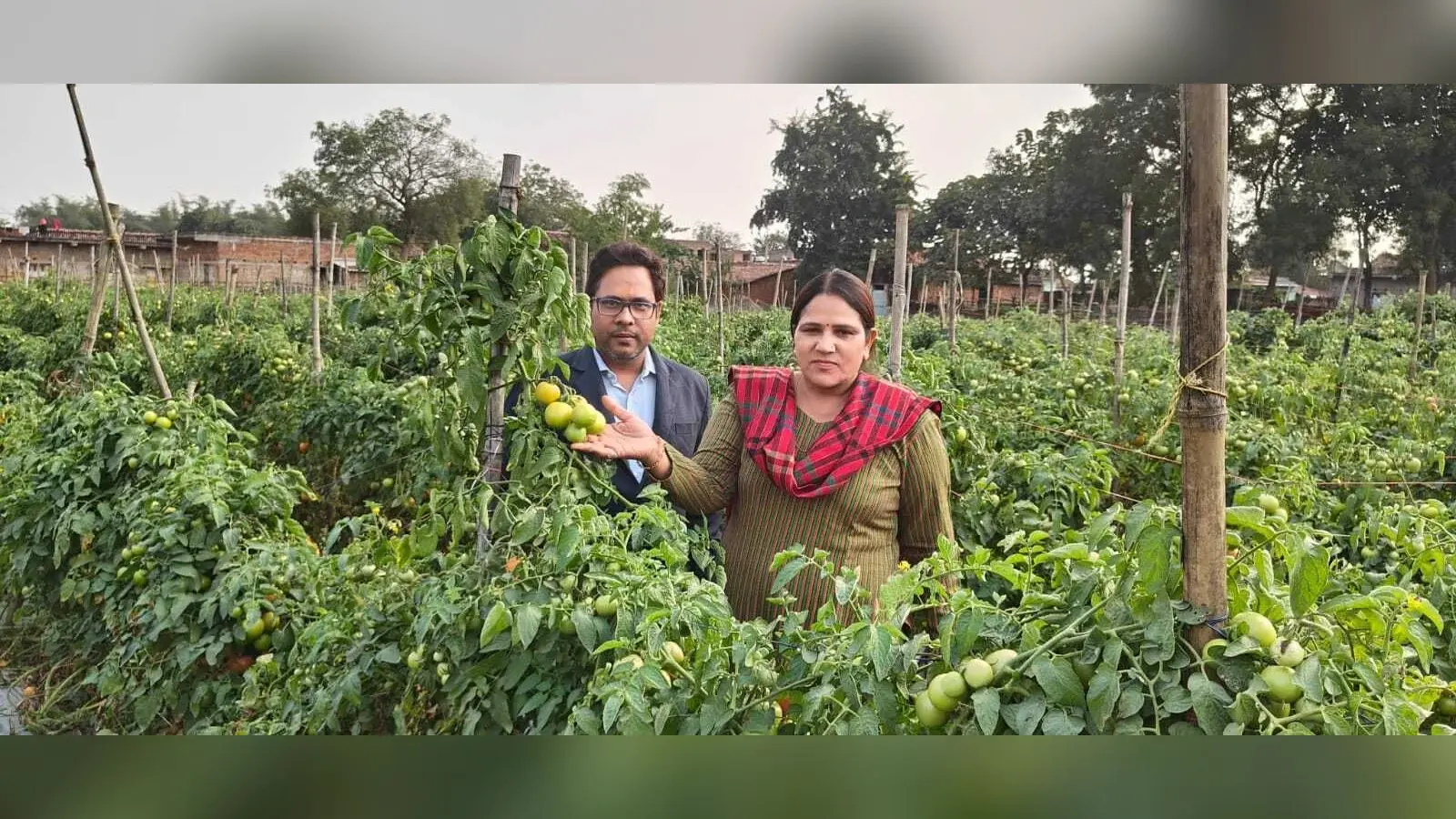 स्ट्रॉबेरी की खेती के लिए किसानों को करें प्रोत्साहित : डीसी