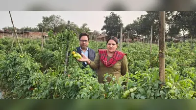 स्ट्रॉबेरी की खेती के लिए किसानों को करें प्रोत्साहित : डीसी