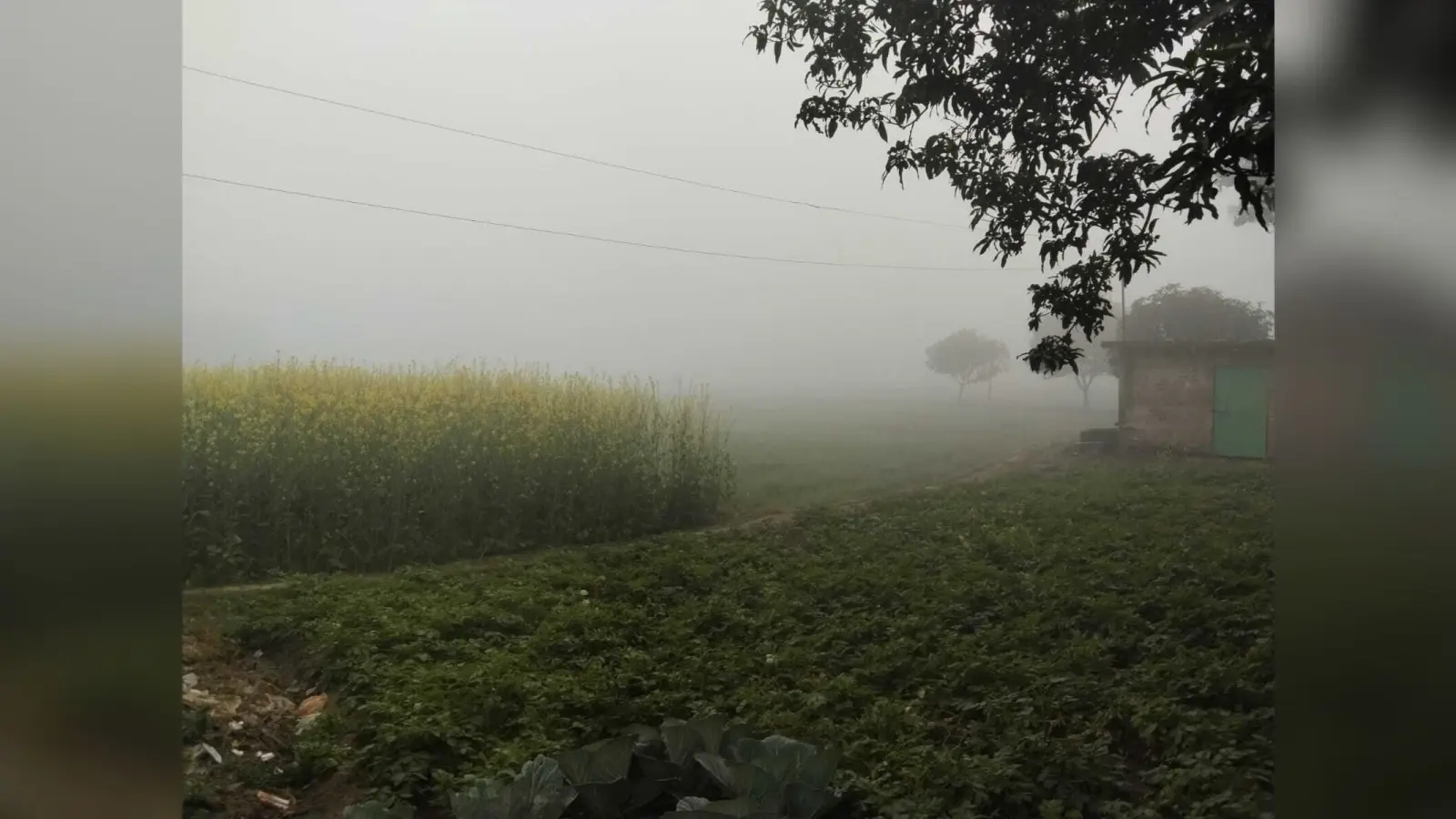 कोहरे की चादर से लिपटा रहा सूर्य, देर से खोली आंखें