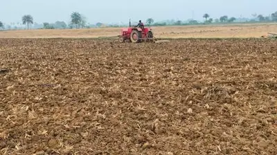 लक्ष्य के 72 फीसदी सिंचित भूभाग पर रबी फसलों का हुआ आच्छादन