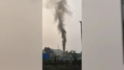 East Singhbhum News : अलकतरा फैक्ट्रियों के प्रदूषण से खेत में काम नहीं कर पा रहे किसान