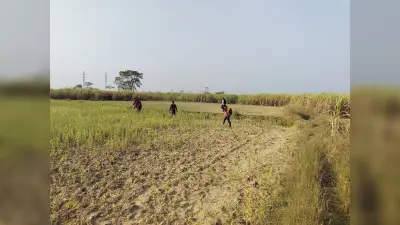 बाघ का लोकेशन जानने दूसरे दिन भी जुटे रहे वीटीआर के टीटी