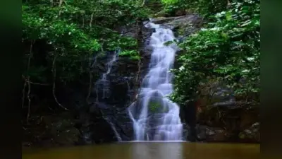Chaibasa News : सारंडा बनेगा इको टूरिज्म, प्राकृतिक खूबसूरती को निहार सकेंगे सैलानी